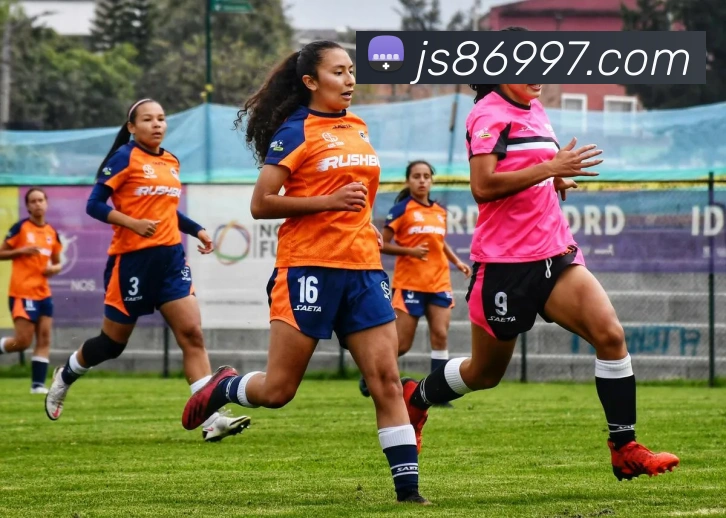 澳门金沙国际服务体系